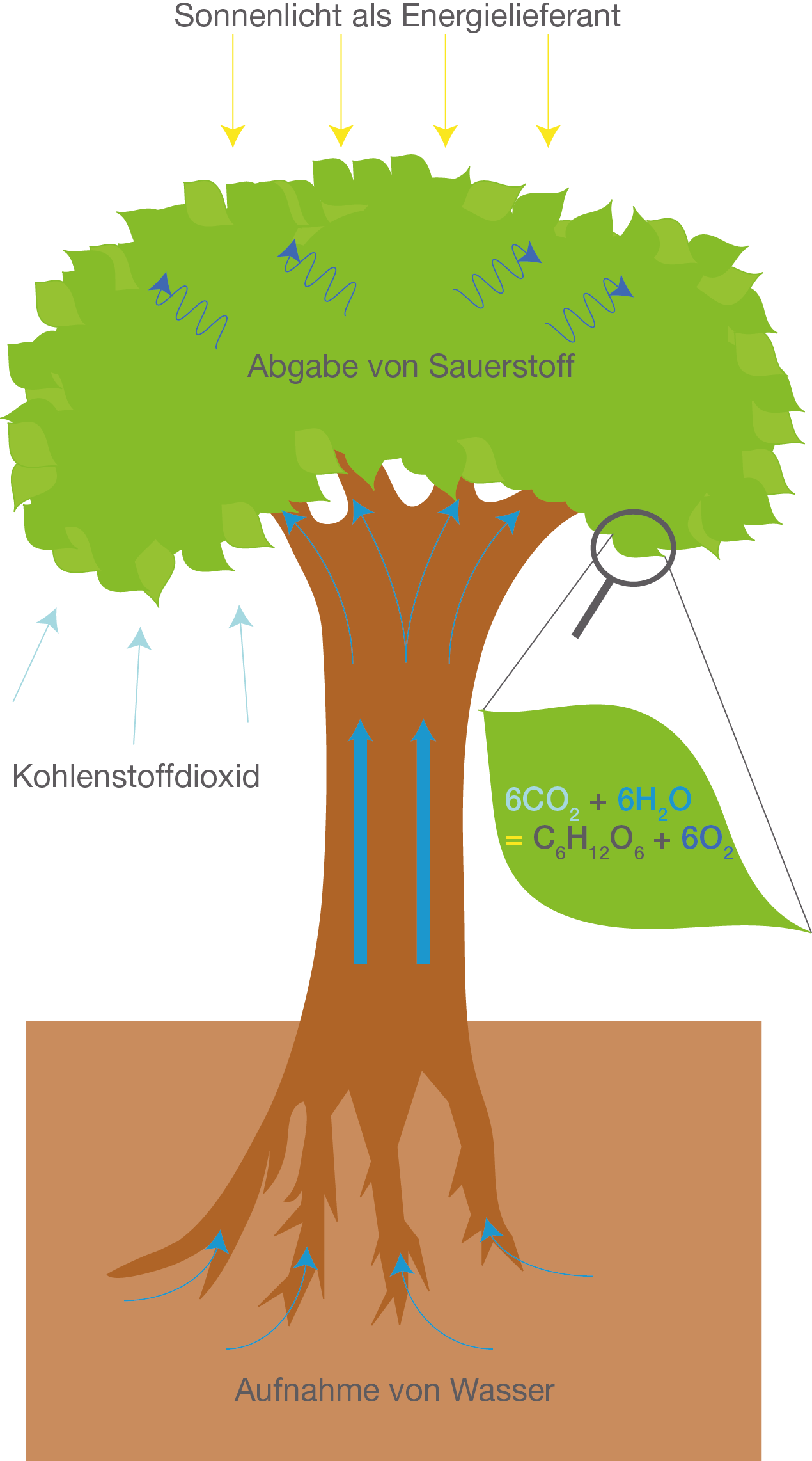 Hmargis.de