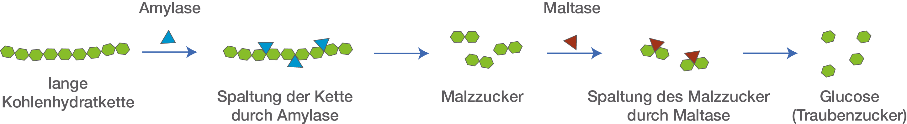 SchulLV Dein digitales Lernverzeichnis