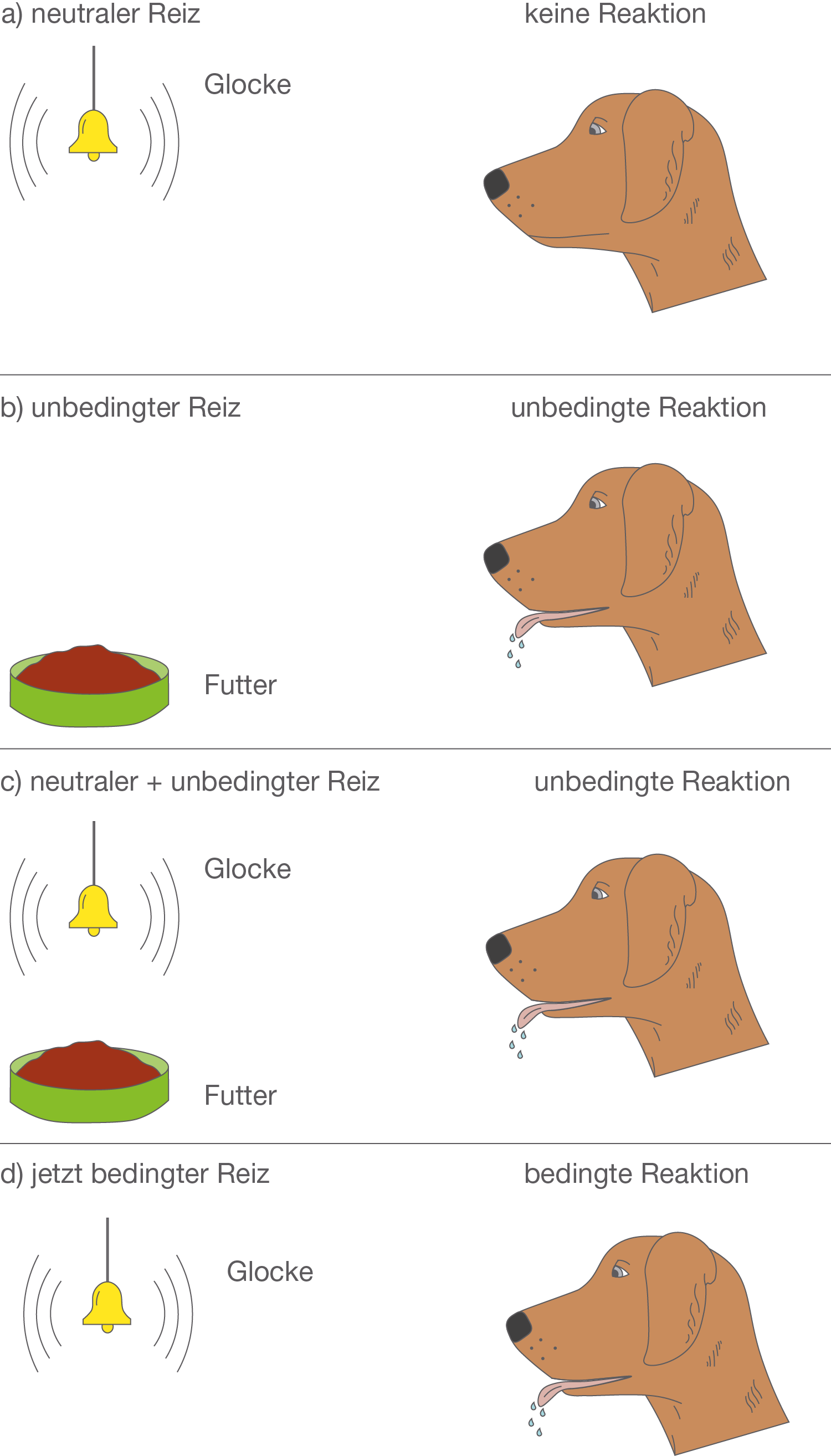 Verhaltensbiologie: Erworbenes Verhalten (Digitales Schulbuch Bio)