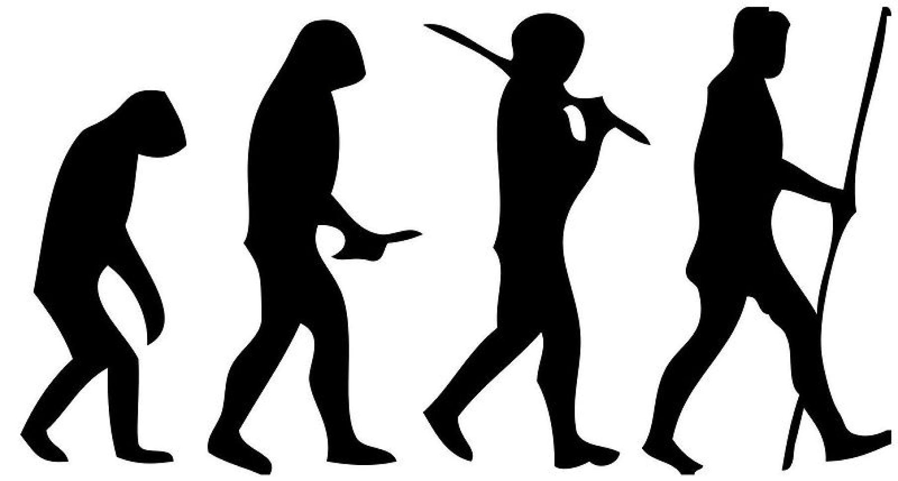 Evolution des Menschen - Evolution - Bio - Digitales Schulbuch ...