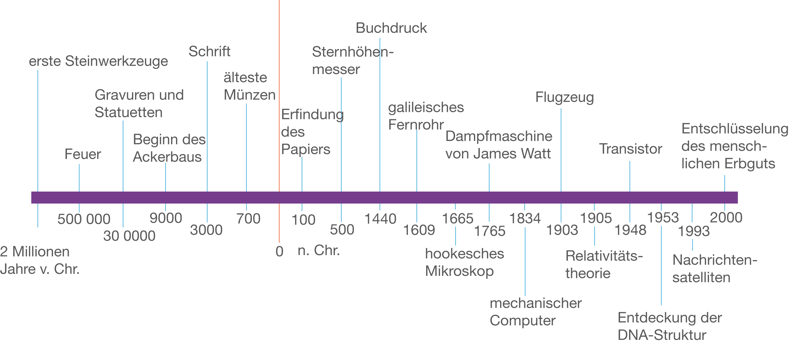 Evolution des Menschen  SchulLV