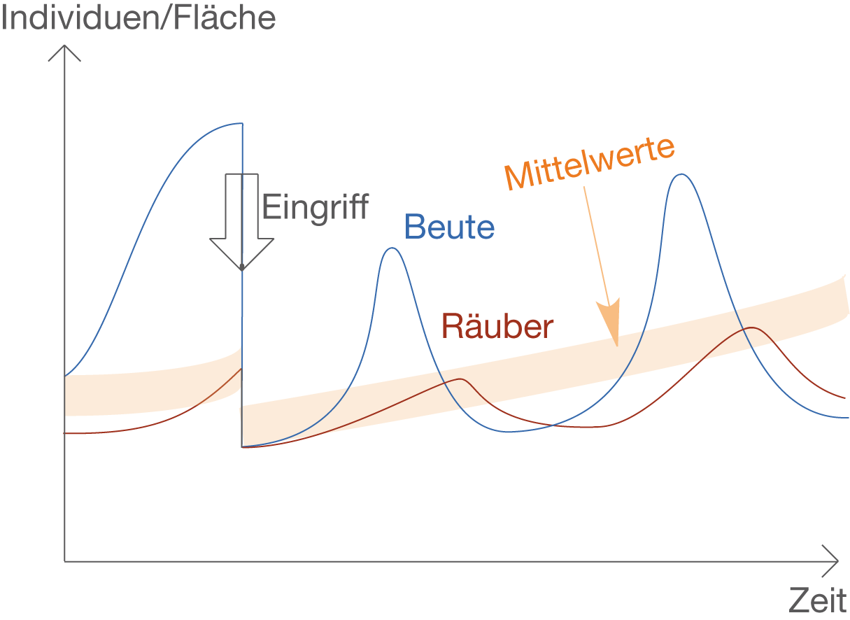 Bestandsregulation SchulLV
