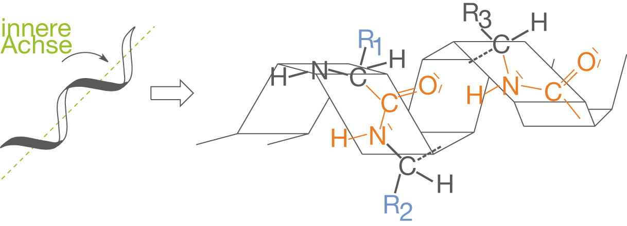 Schematische Darstellung von Molekülen mit innerer Achse und chemischen Gruppen.