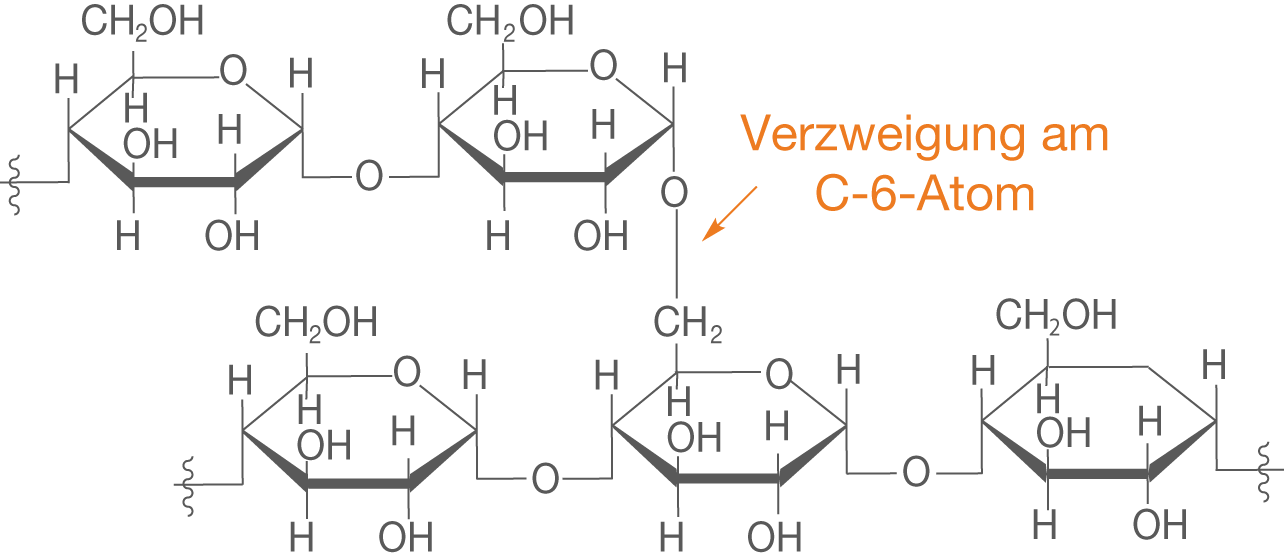 Chemische Struktur mit Verzweigungen am C-6-Atom. Diagramm zeigt Molekülaufbau.