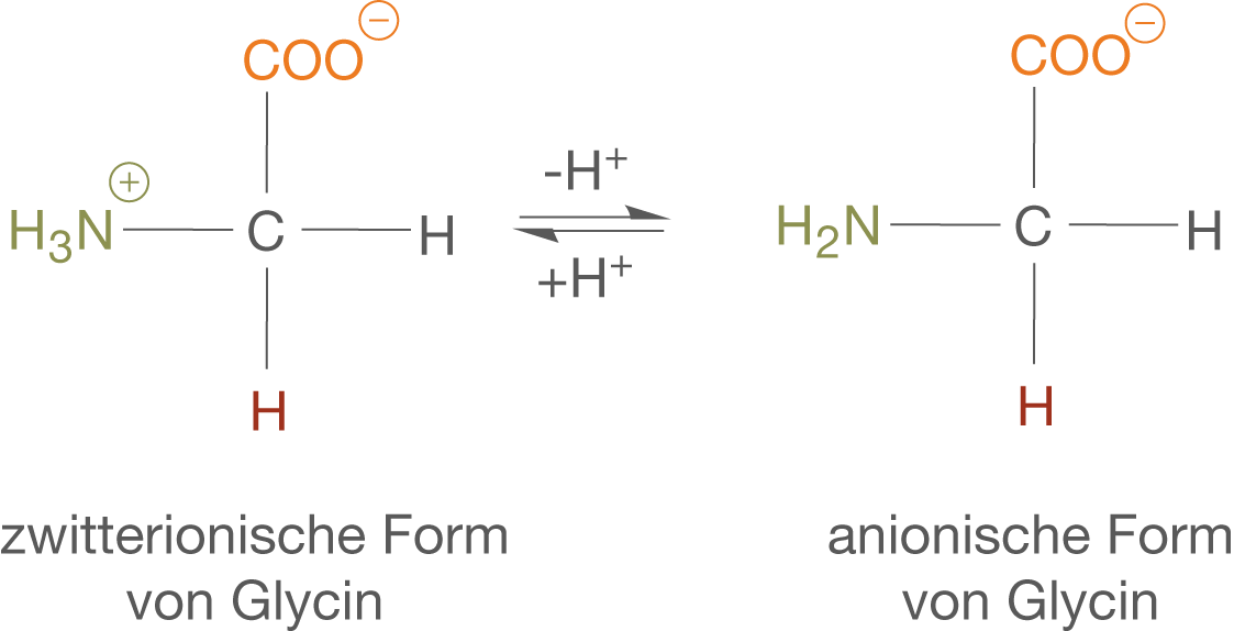 Chemische Strukturformeln von Glycin in zwitterionischer und anionischer Form.