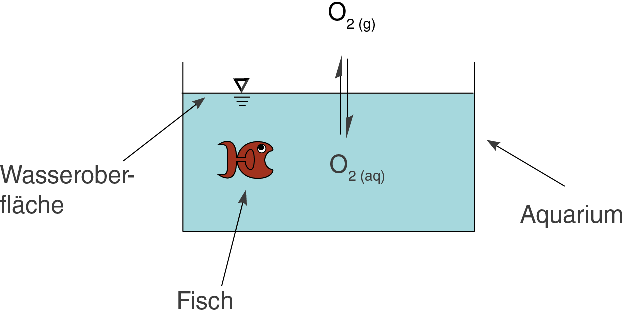Diagramm eines Aquariums mit Fisch und Sauerstoffaustausch an der Wasseroberfläche.