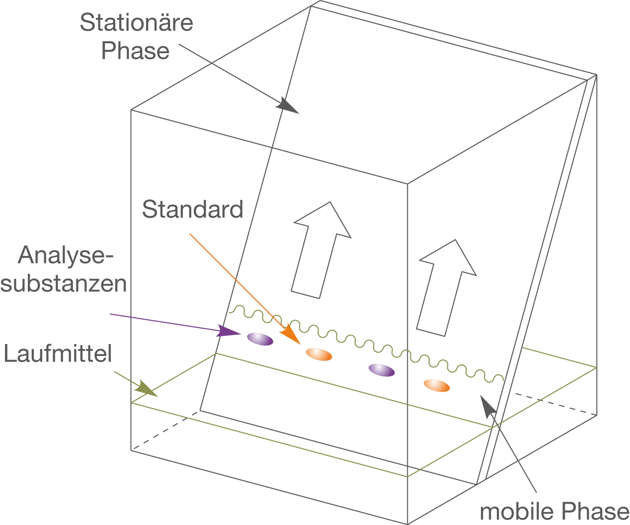 Diagramm von Phasen in der Chromatografie mit beschrifteten Abschnitten und Pfeilen.