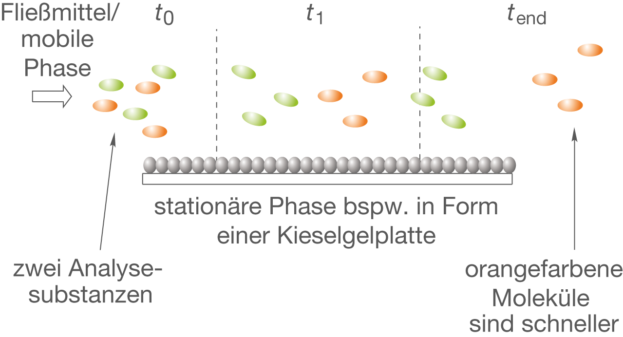 Diagramm zur Darstellung der mobilen und stationären Phase in einem chromatographischen Prozess.