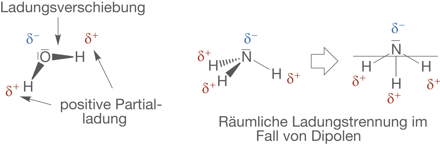 Grundlagen Bindungen und Wechselwirkungen (Digitales Schulbuch Chemie)