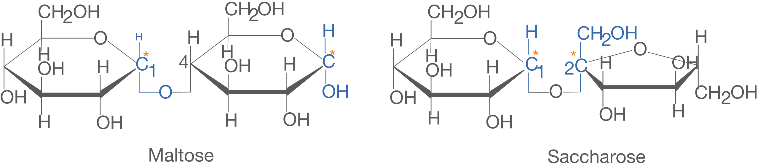 Strukturformeln von Maltose und Saccharose mit chemischen Bindungen und Gruppen.