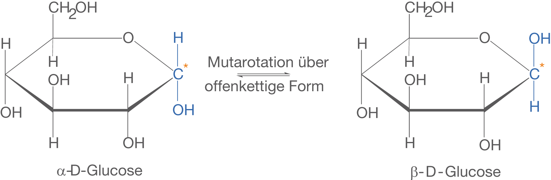 Strukturformel von Glukose mit Hinweisen zur Mutarotation und offenkettigen Formen.