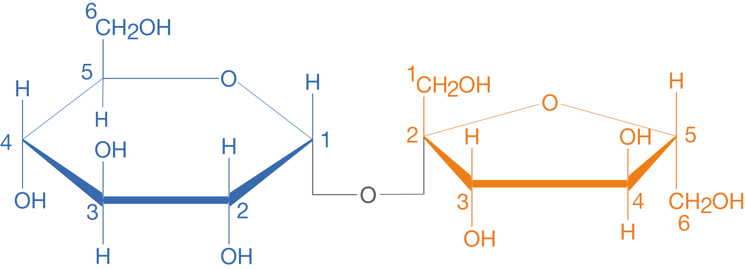Chemische Strukturformeln zweier Zuckermoleküle mit verschiedenen Bindungen und funktionellen Gruppen.