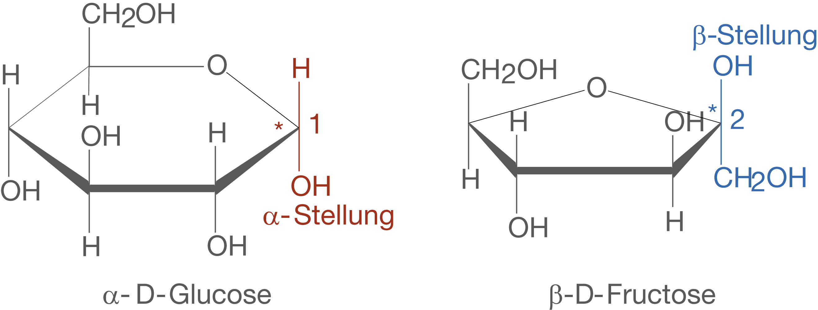 Strukturformeln von α-D-Glucose und β-D-Fructose mit Beschriftungen der OH-Stellungen.