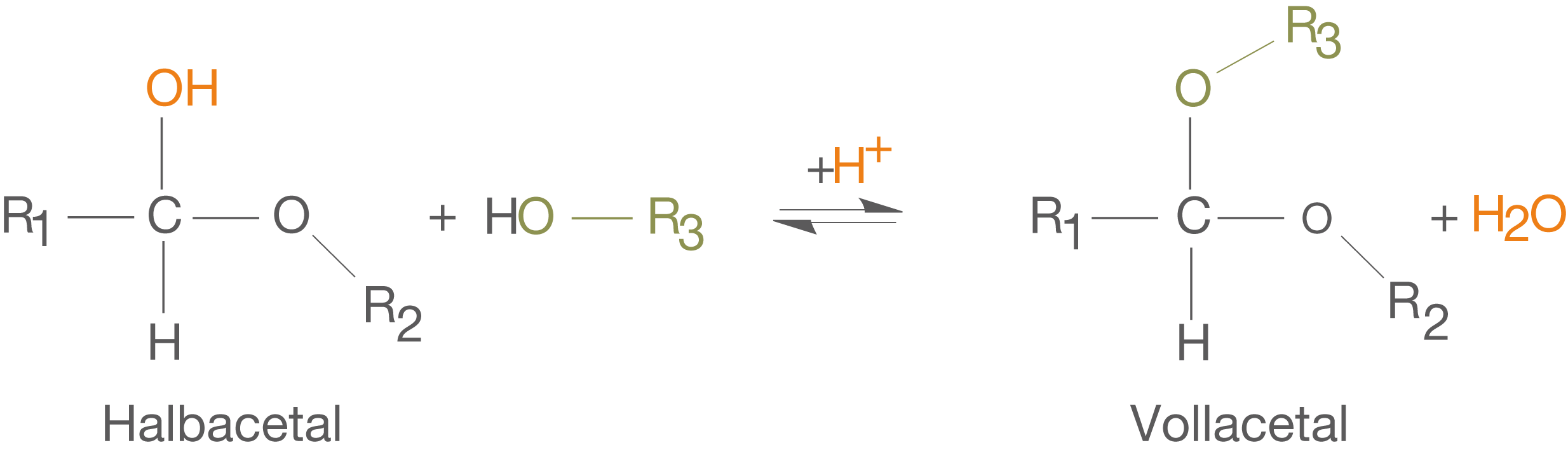 Chemische Reaktion zwischen Halbacetal und Vollacetal mit Wasserbildung. Strukturformeln und Reaktionsschritte dargestellt.