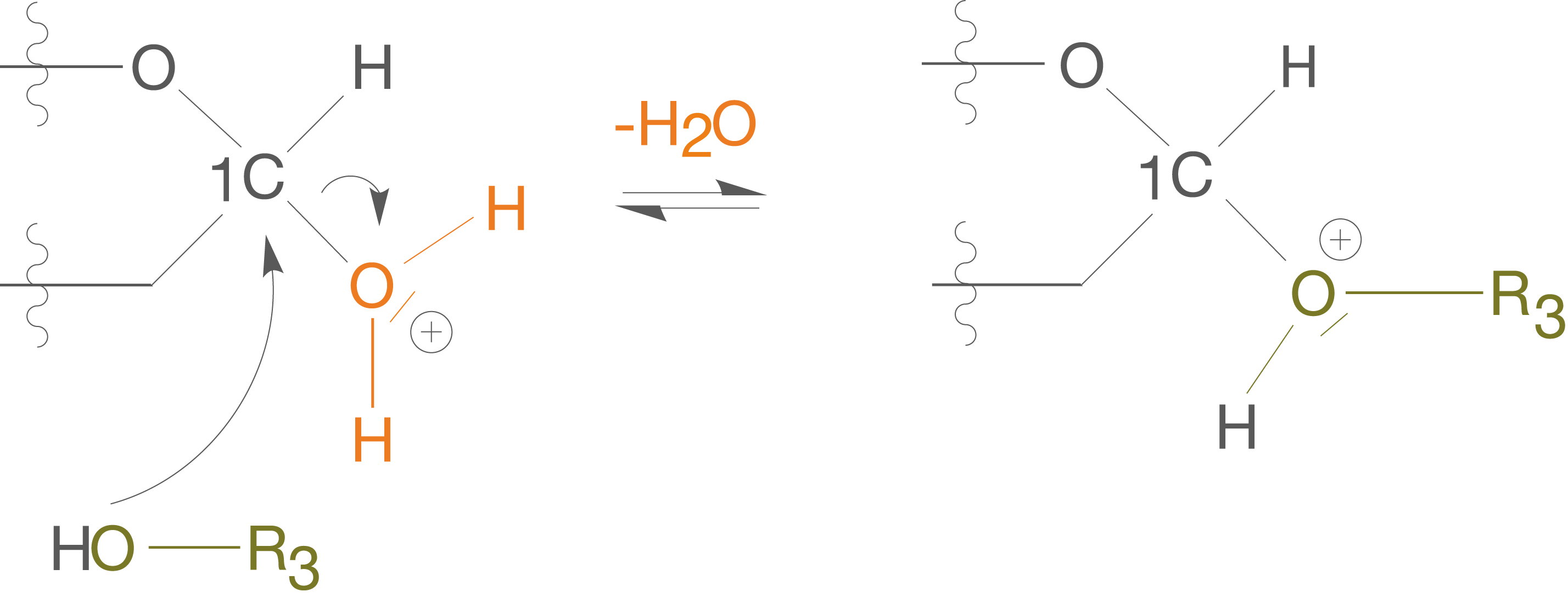 Chemische Reaktion mit Molekülstrukturen und Wasserabspaltung, dargestellt durch Pfeile und Formeln.