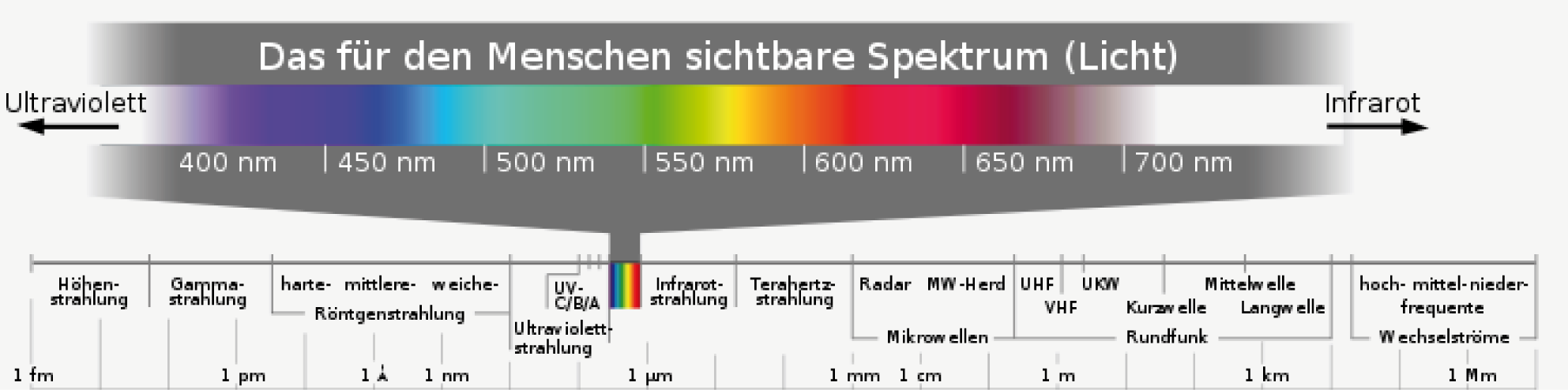 Diagramm des sichtbaren Lichtspektrums mit Wellenlängen von Ultraviolett bis Infrarot.