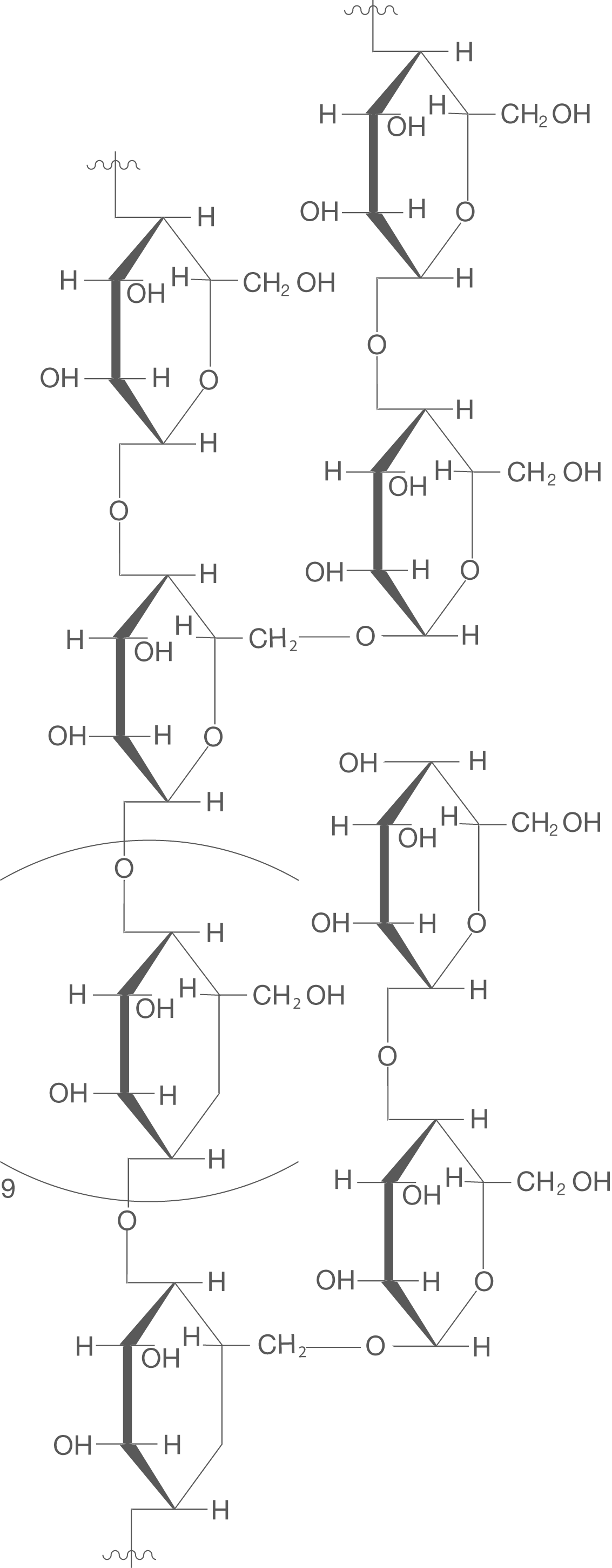 Strukturformel eines Zuckers mit chemischen Bindungen und Hydroxylgruppen.
