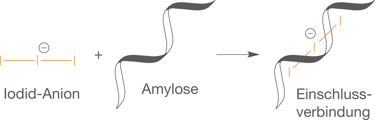 Darstellung einer chemischen Reaktion zwischen Iodid-Anion und Amylose zur Bildung einer Einschlussverbindung.