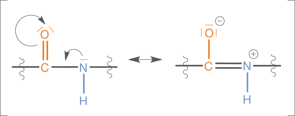 Diagramm zur Darstellung chemischer Bindungen zwischen Kohlenstoff und Stickstoff mit elektrischen Ladungen.