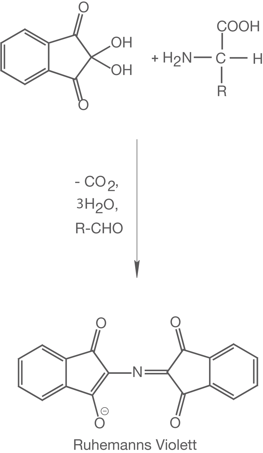 Chemische Strukturformeln mit Hydroxyl- und Aminogruppen.