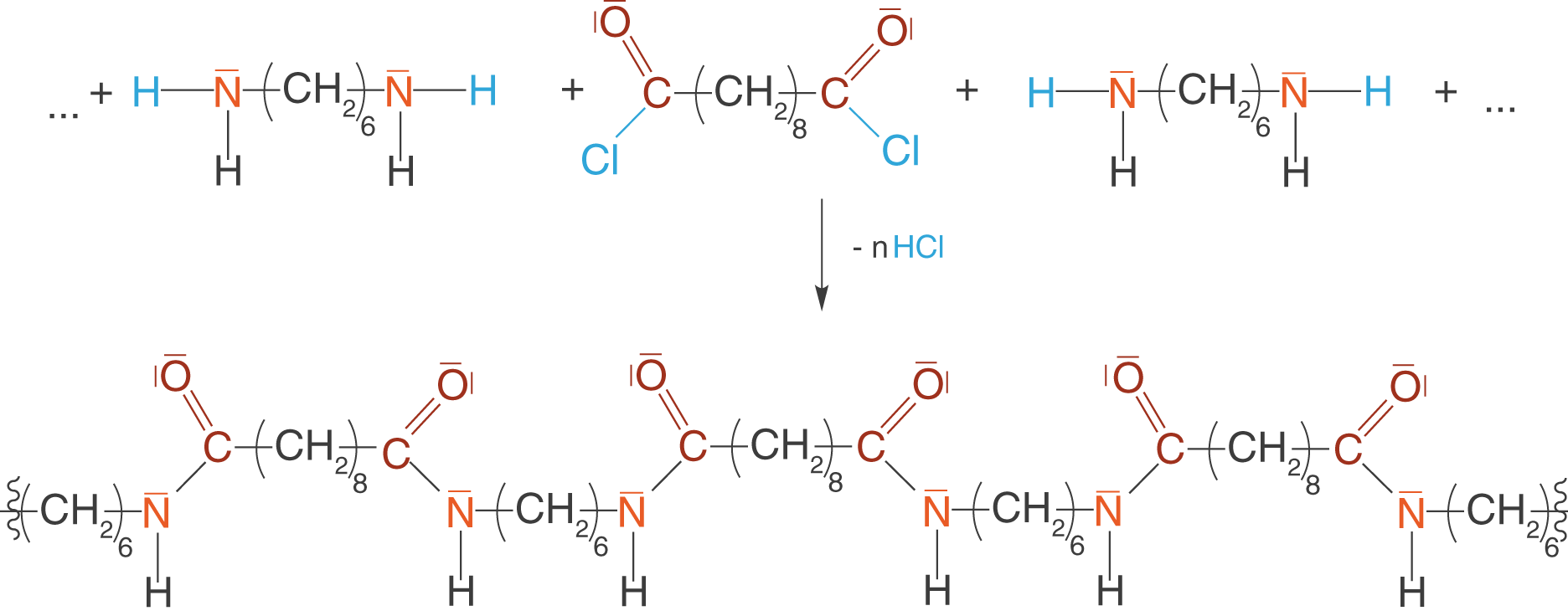 The Nylon Polymer Was 11