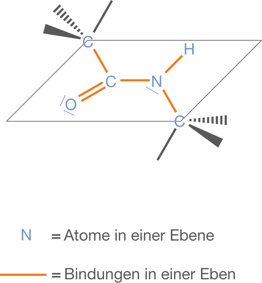 Strukturdiagramm einer chemischen Verbindung mit Atomen und Bindungen in einer Ebene.