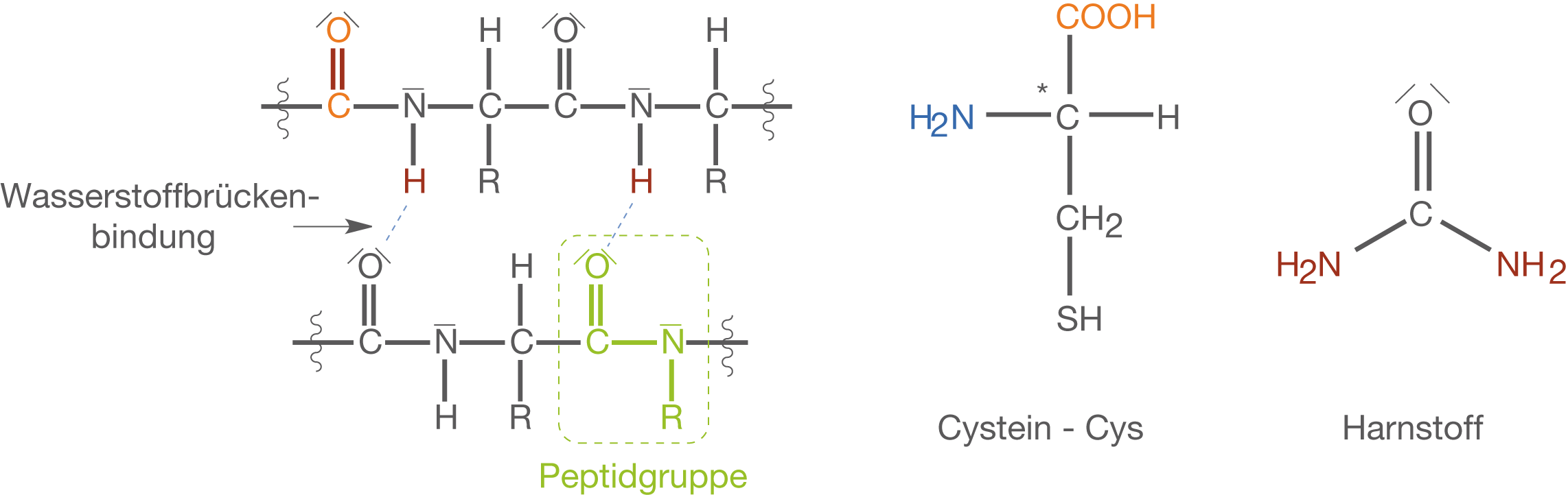 PSE Steckbriefe Grundlagen Chemie Digitales Schulbuch Skripte