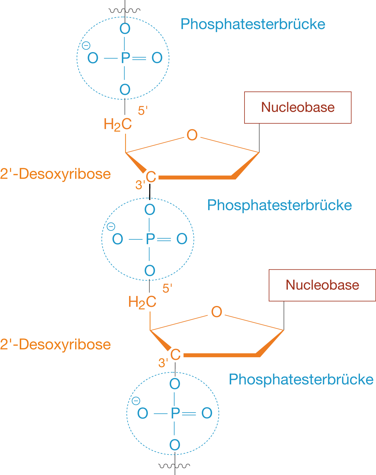 Abstrakte Grafik mit Linien und geometrischen Formen in Blau, Orange und Rot auf schwarzem Hintergrund.