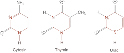 Diagramm mit stilisierten Hochhäusern in rot und schwarz, dargestellt in drei Ansichten.