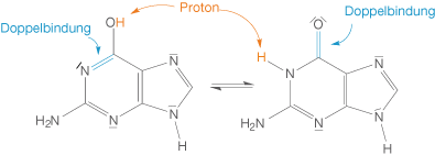 Diagramm mit chemischen Strukturen, Doppelbindungen und Protonen.