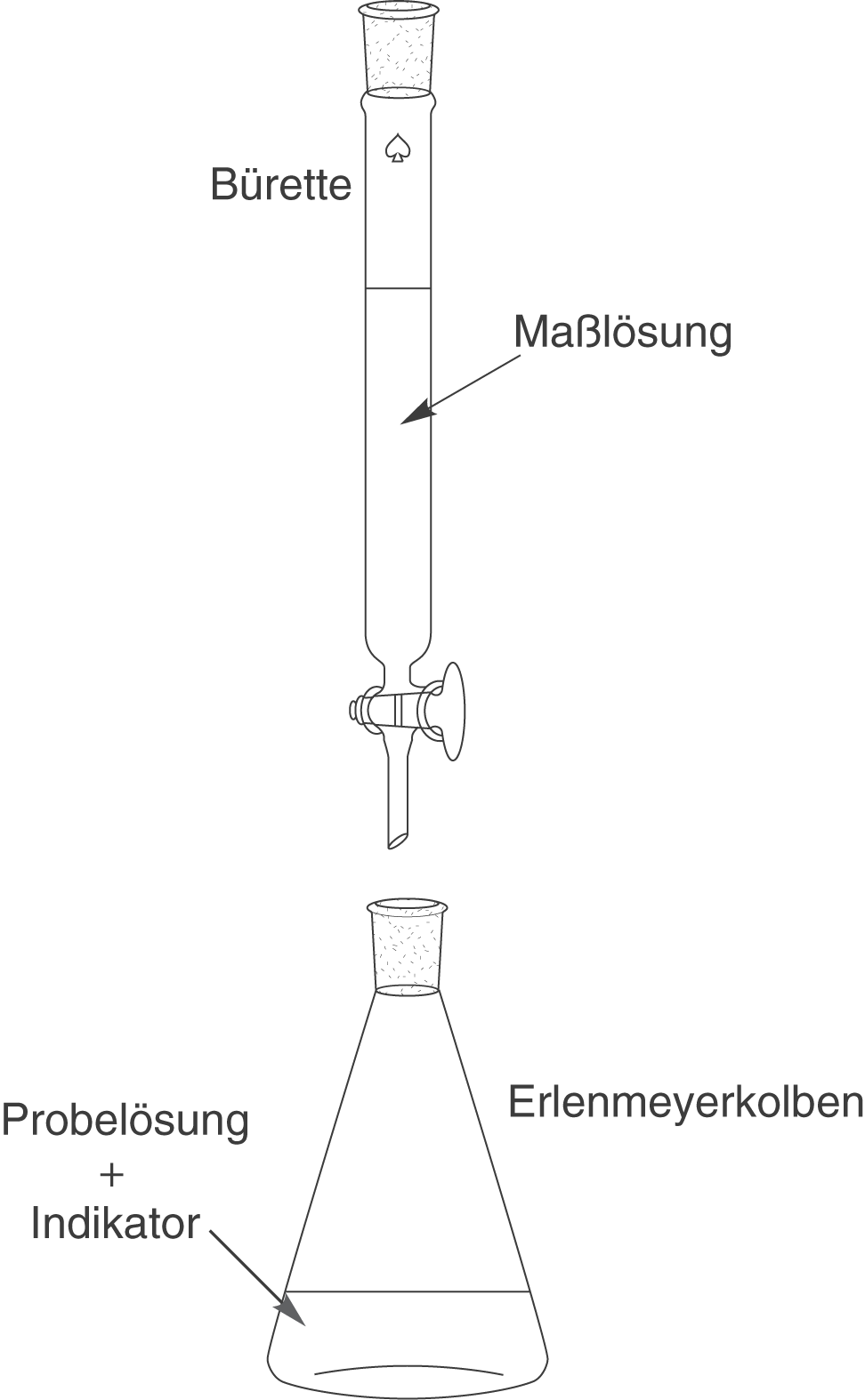 Diagramm mit verschiedenen Laborglasgeräten und deren Bezeichnungen.