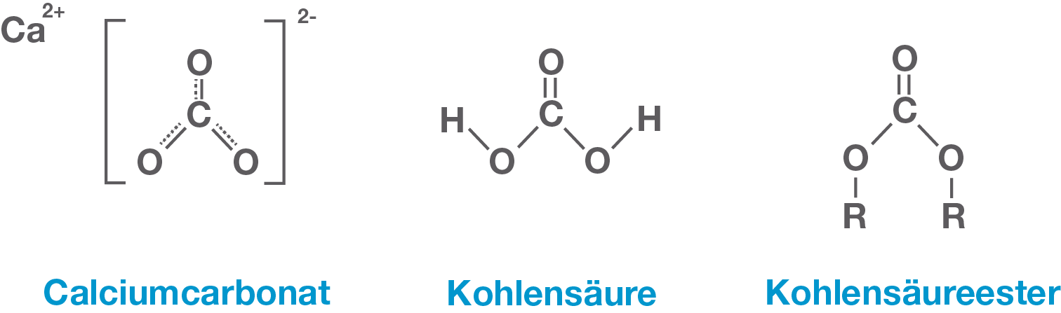 Kohlenstoffkreislauf - Kohlenstoffverbindungen - Chemie - Digitales ...