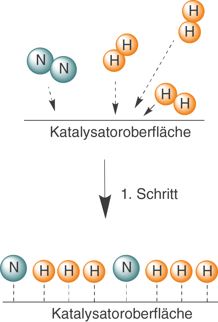 Diagramm einer Katalysatoroberfläche mit Stickstoff- und Wasserstoffmolekülen im ersten Schritt eines chemischen Prozesses.