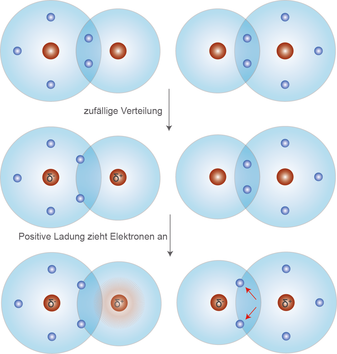 Van-Der-Waals-Kräfte Van-Der-Waals-Kräfte