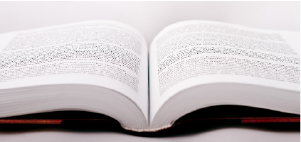 Lexikonartikel SchulLV