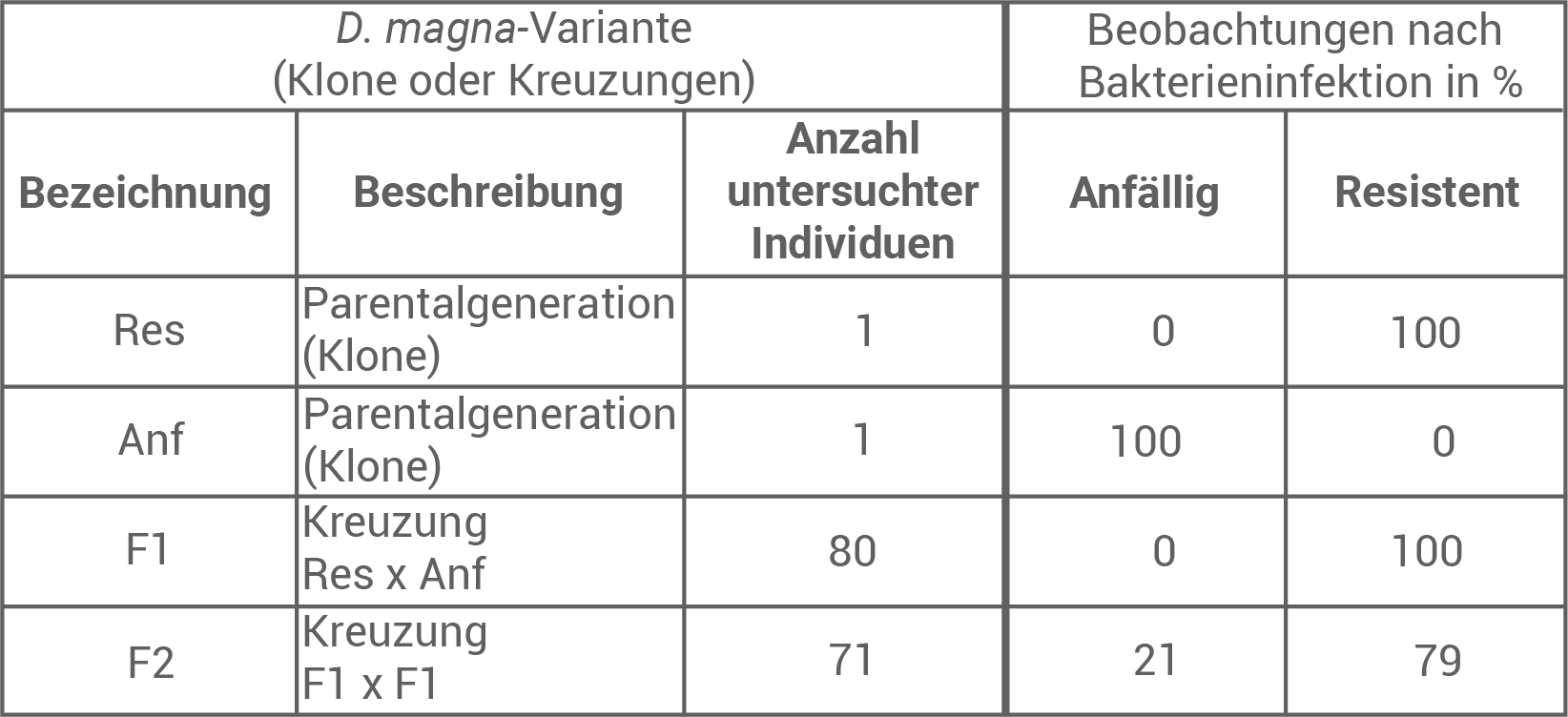 Tabelle mit D. magna-Varianten, ihren Beschreibungen und Beobachtungen zur Bakterieninfektion in Prozent.