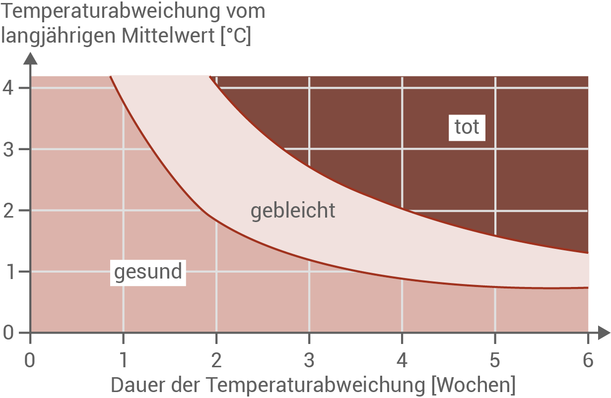 Temperaturdiagramm
