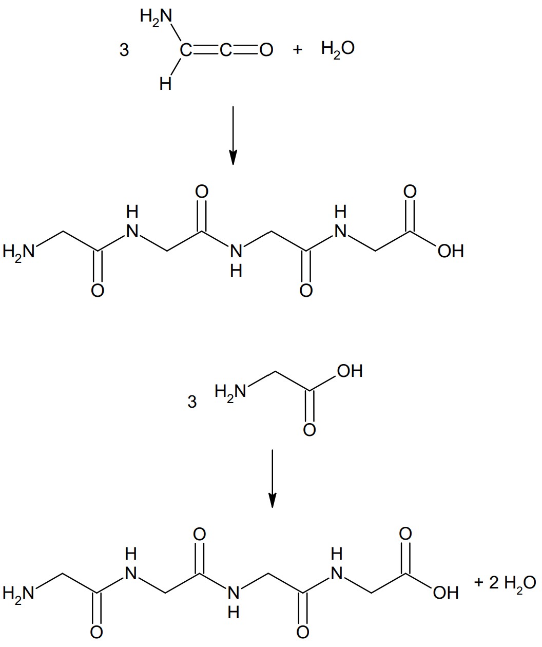 Polyaddition und Polykondensation zur Bildung eines kurzen Tripeptids aus drei Glycin-Bausteinen