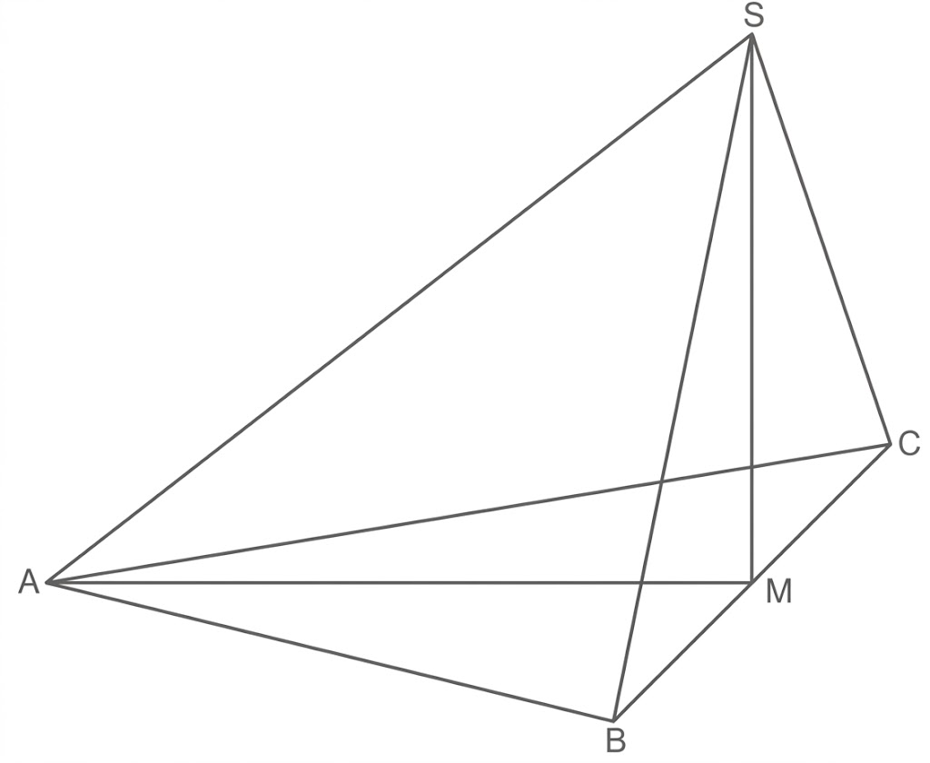 Geometrische Skizze einer Pyramide/Dreieckskörper mit Punkten A, B, C, S und Markierung M