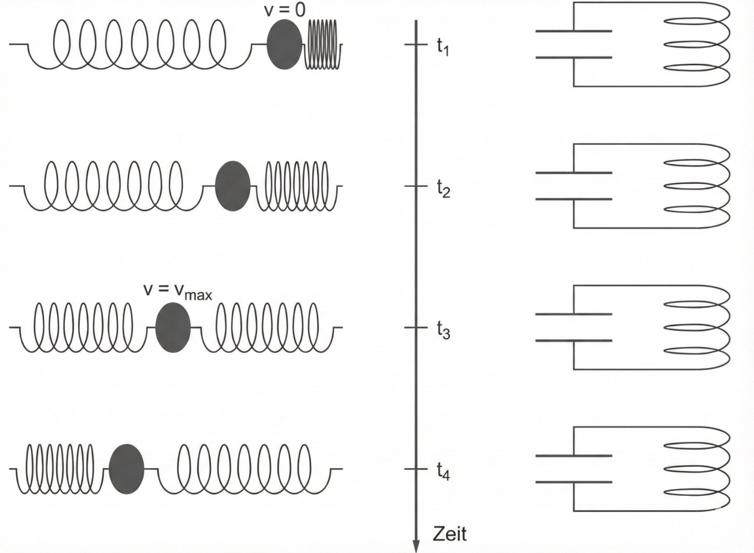 Skizze eines schwingenden Massen-Feder-Systems in vier Zeitpunkten (t1–t4) mit Zeitachse, Kennzeichnung v=0 und v=v_max
