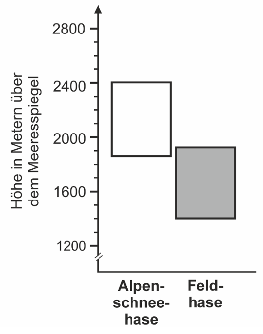 Diagramm mit zwei Höhenbereichen: Alpenschneehase höher gelegen, Feldhase tiefer gelegen über dem Meeresspiegel