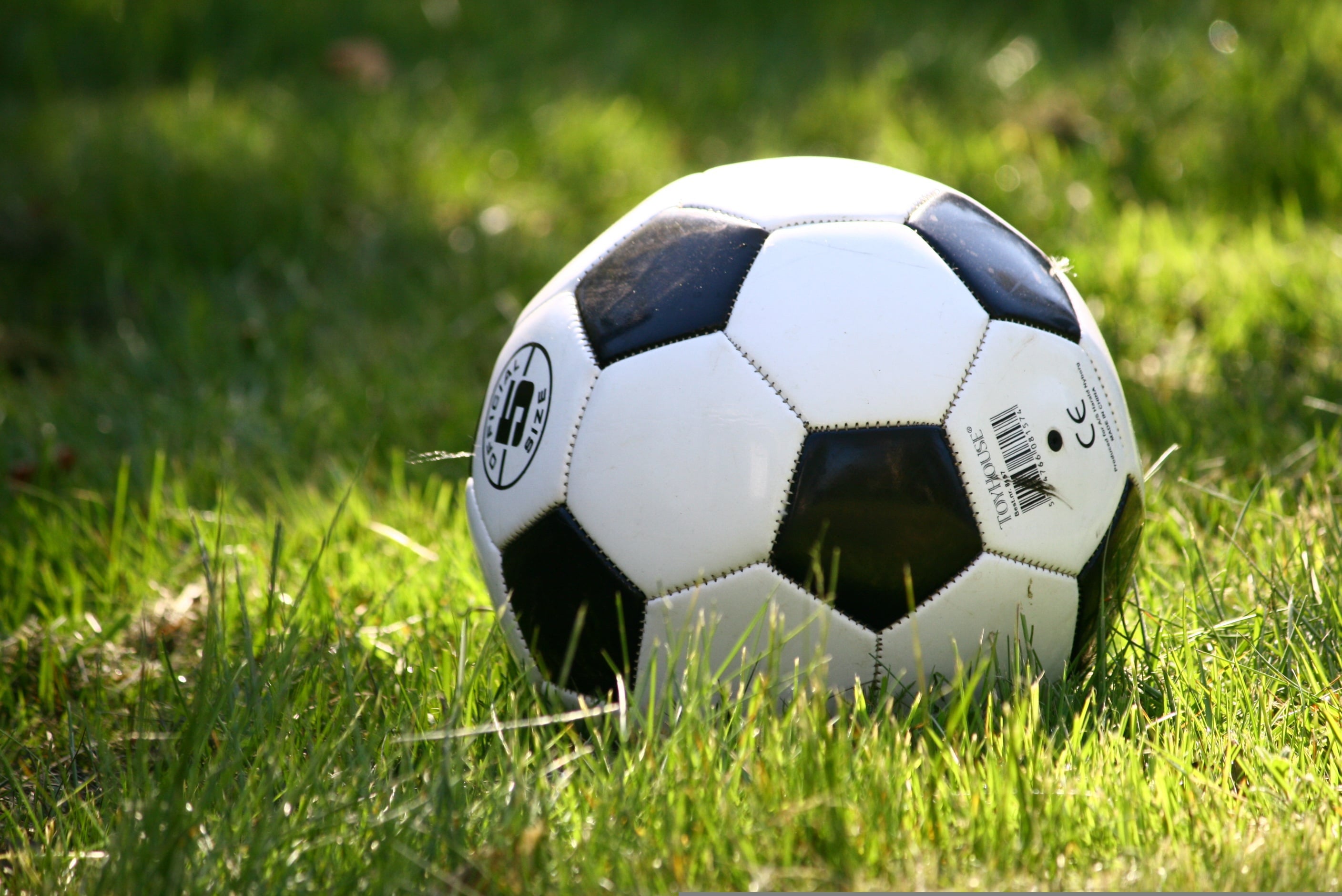Fußball auf grünem Rasen
