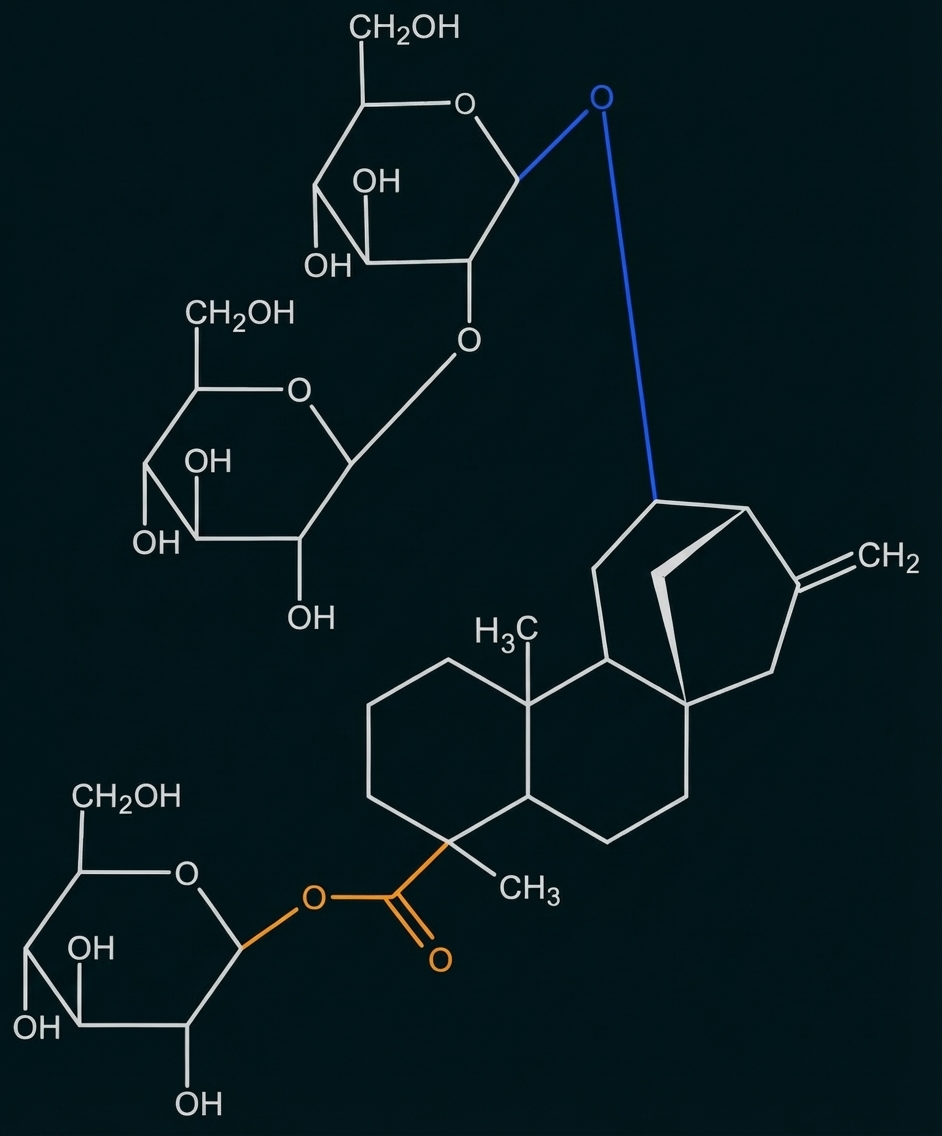 Strukturformel eines Steroid-Glykosids mit drei Zuckerresten und farbigen Bindungen (blau, orange)
