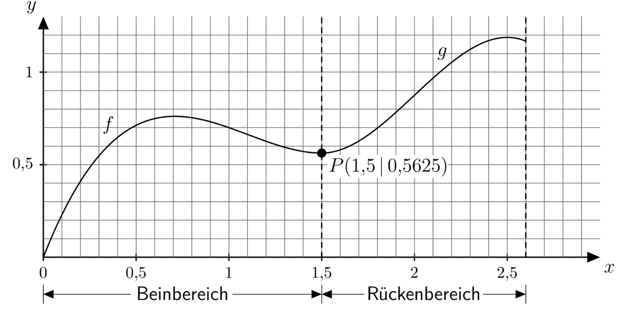 Diagramm mit den Funktionen f und g sowie markiertem Punkt P(1,5|0,5625) und Bein- und Rückenbereich.