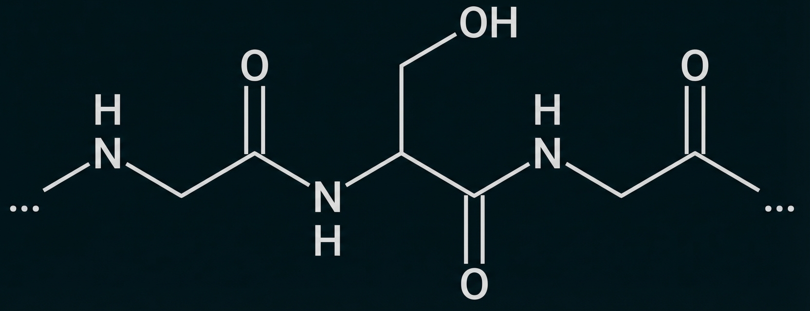 Schematische chemische Struktur eines Peptids mit Peptidbindungen und einer Hydroxyl-Seitenkette