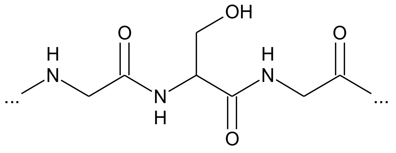 Schematische chemische Struktur eines Peptids mit Peptidbindungen und einer Hydroxyl-Seitenkette