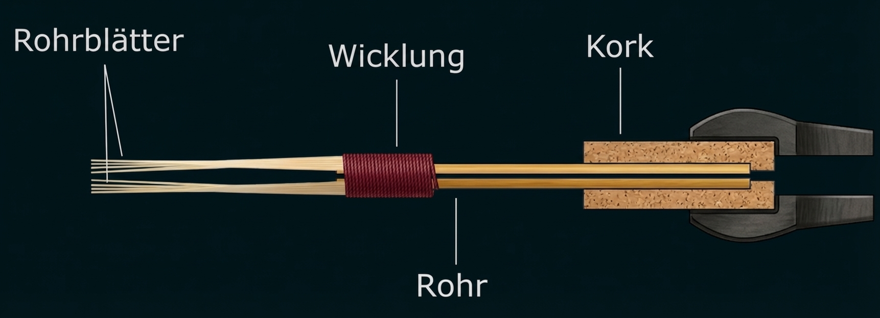 Beschriftete Illustration eines Blasinstrument-Mundstücks mit Rohrblättern, Wicklung, Rohr und Kork.