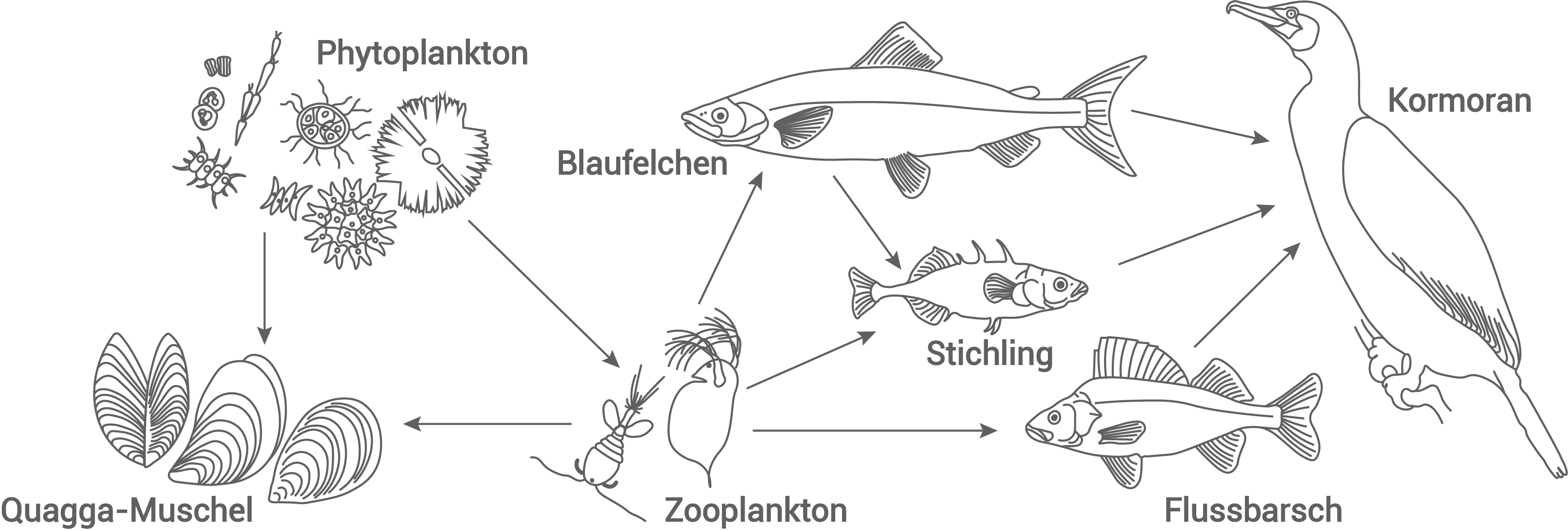 Abbildung