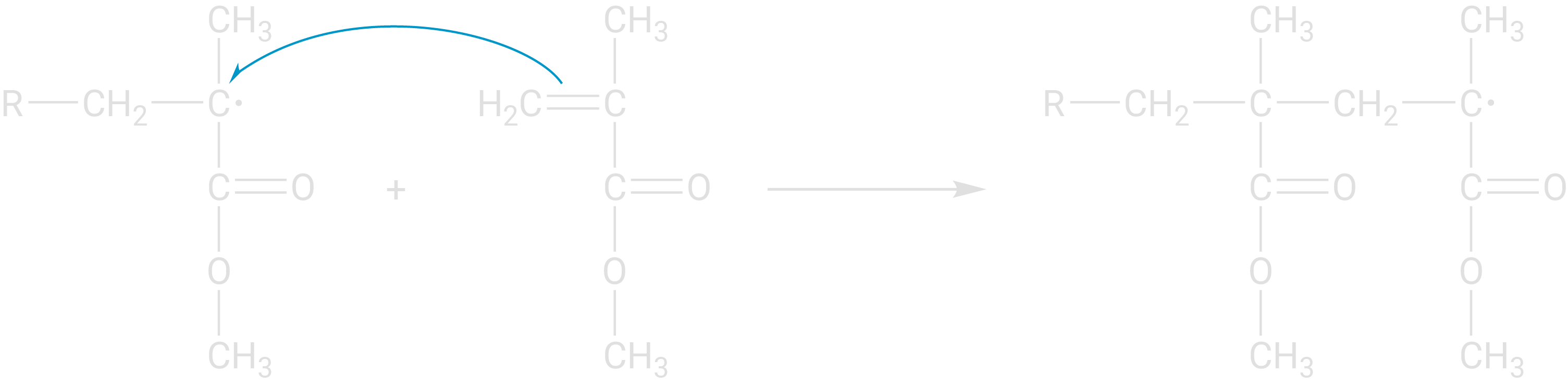 Radikalische Polymerisation PMMA Kettenwachstum MMA-Radikal und weiteres Monomer