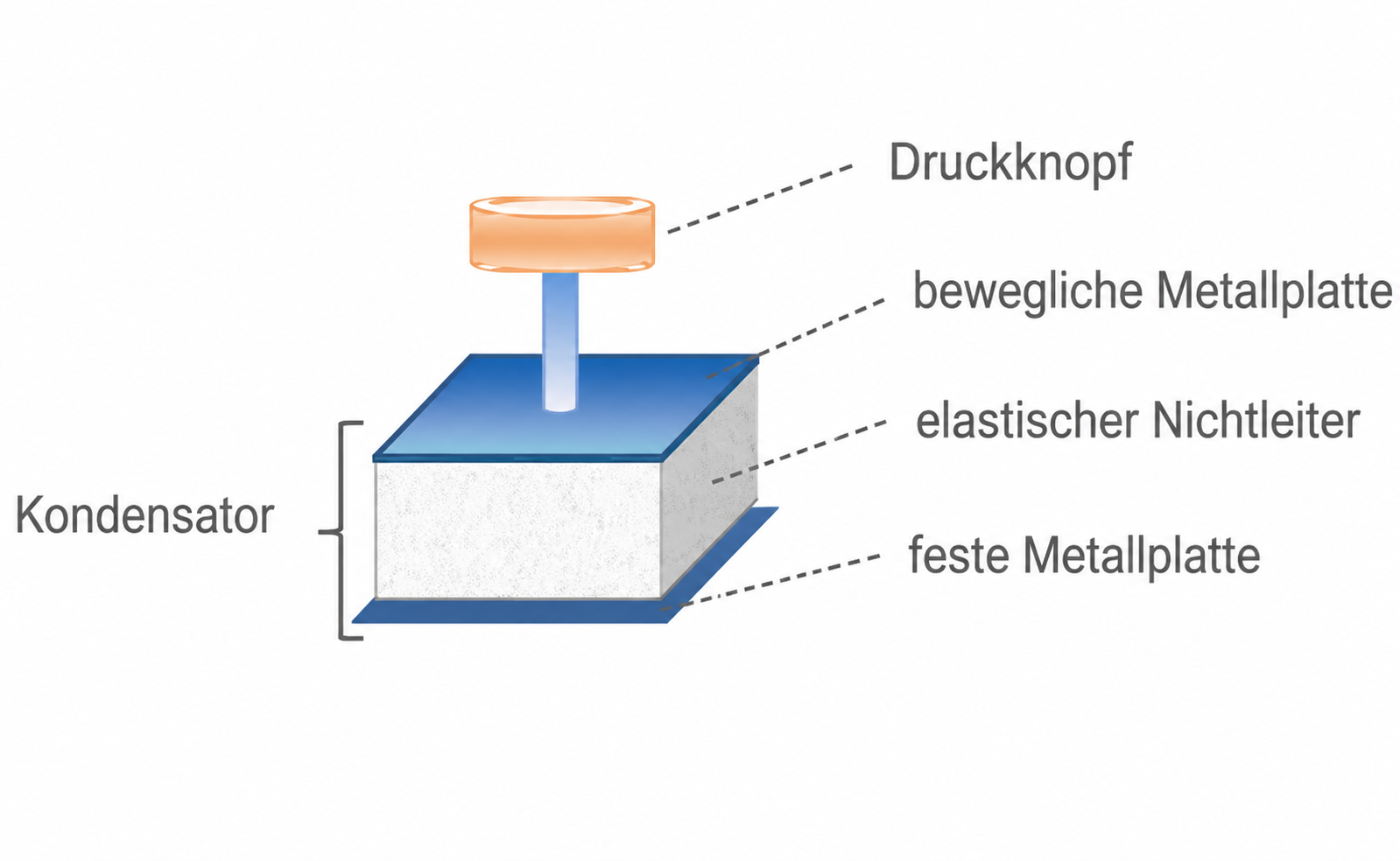 Schematische Darstellung eines Kondensators mit Druckknopf, beweglicher und fester Metallplatte sowie elastischem Nichtleiter